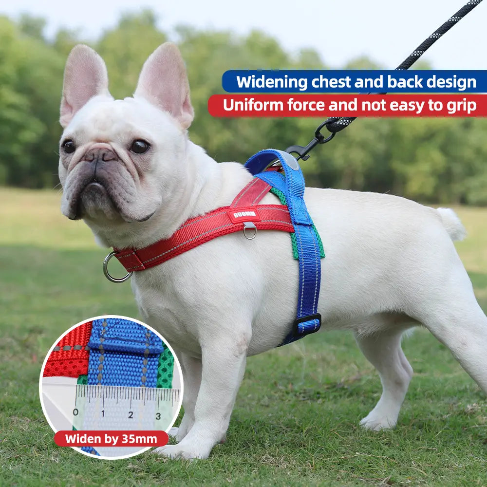 Y-Shaped Harness/Dog Leash, Vest-Style Protection, Soft and Breathable, Won'T Constrict the Neck, Leash for Small to Medium-Sized Dogs, Anti-Pull Design, Reflective, Suitable for All Sizes.